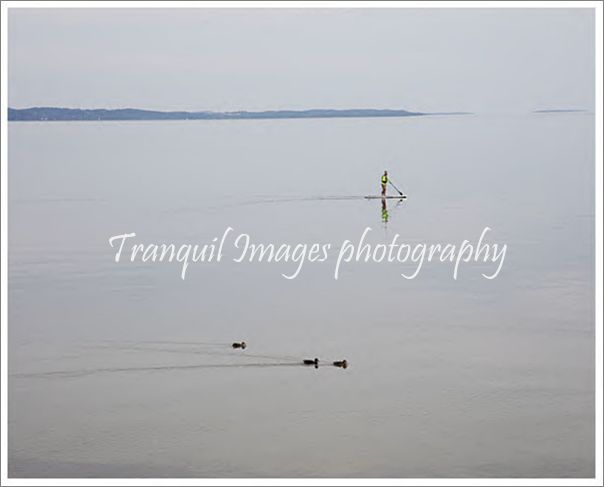 D000124 On Grand Traverse Bay